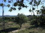 Finca en Cervera del Maestre