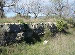 Finca en Cervera del Maestre