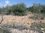 Plot of Land in Benicarló