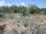 Plot of Land in Benicarló